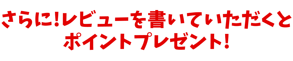 さらに！レビューを書いていただくとポイントプレゼント！