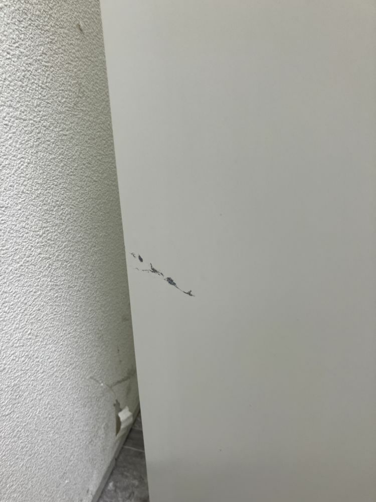 レクトラインシリーズ A4クリアケース書庫 商品画像5