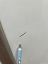 ウチダ（内田洋行）リンキー2シリーズ 縦型脚付両面ホワイトボード 商品画像10