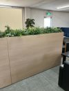 コクヨGreen-for work space-シリーズ プランターボックス(人工植物) 商品画像6