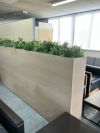 コクヨGreen-for work space-シリーズ プランターボックス(人工植物) 商品画像13