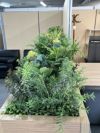 コクヨGreen-for work space-シリーズ プランターボックス(人工植物) 商品画像16