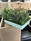 コクヨGreen-for work space-シリーズ プランターボックス(人工植物) 商品画像17
