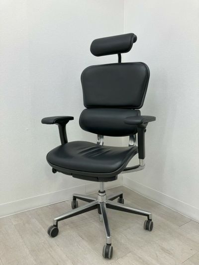 エルゴヒューマン 可動肘付ベーシックチェア