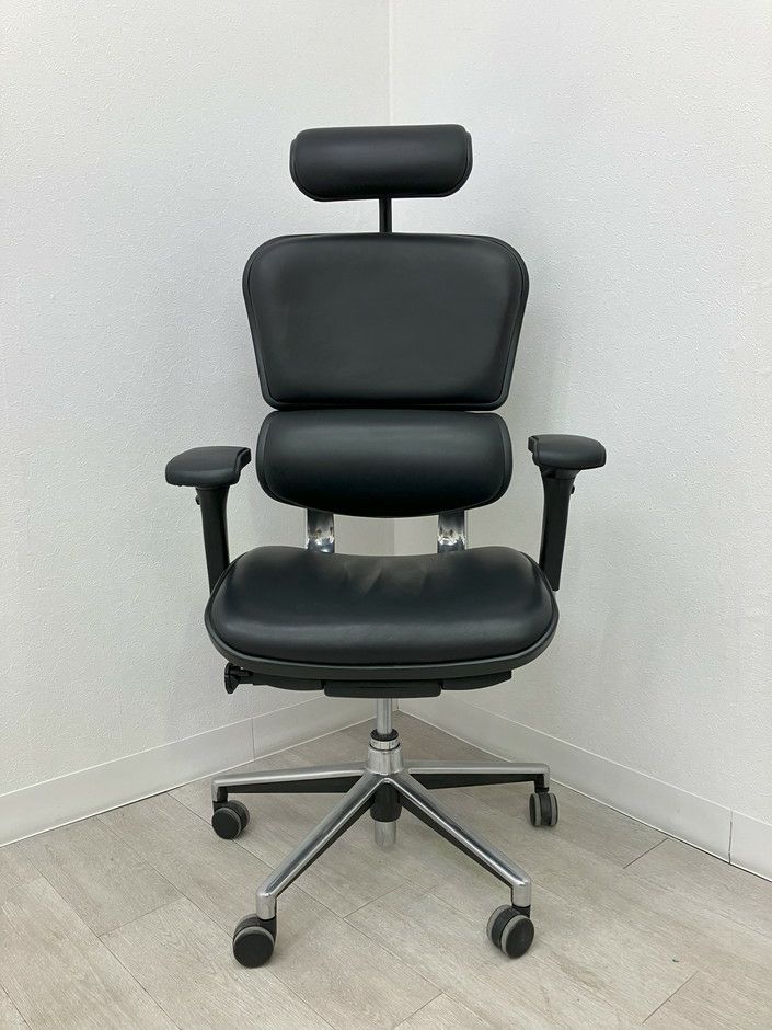 エルゴヒューマン可動肘付ベーシックチェア 商品画像2