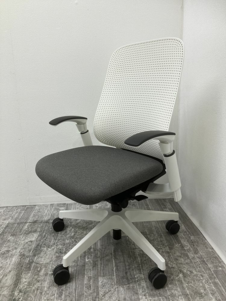 プラスレナシリーズ 可動肘付レナチェア 商品画像1