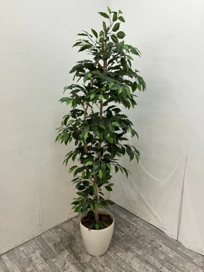 フェイクグリーン 商品画像1