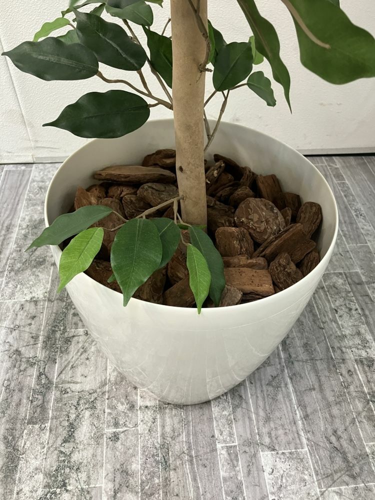 フェイクグリーン 商品画像2