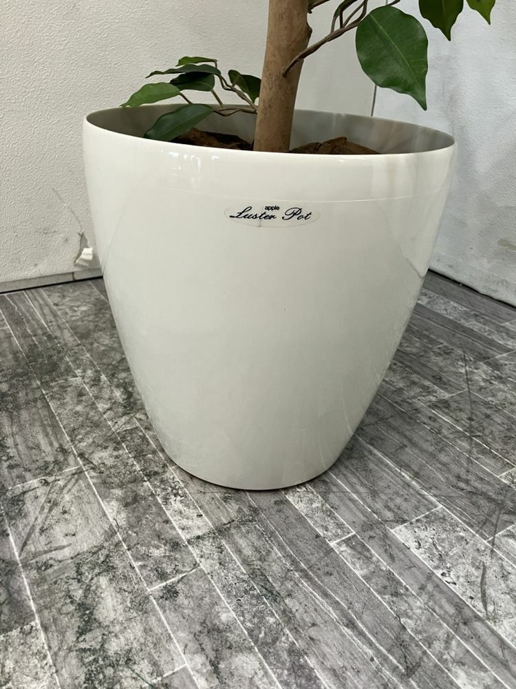 フェイクグリーン 商品画像3