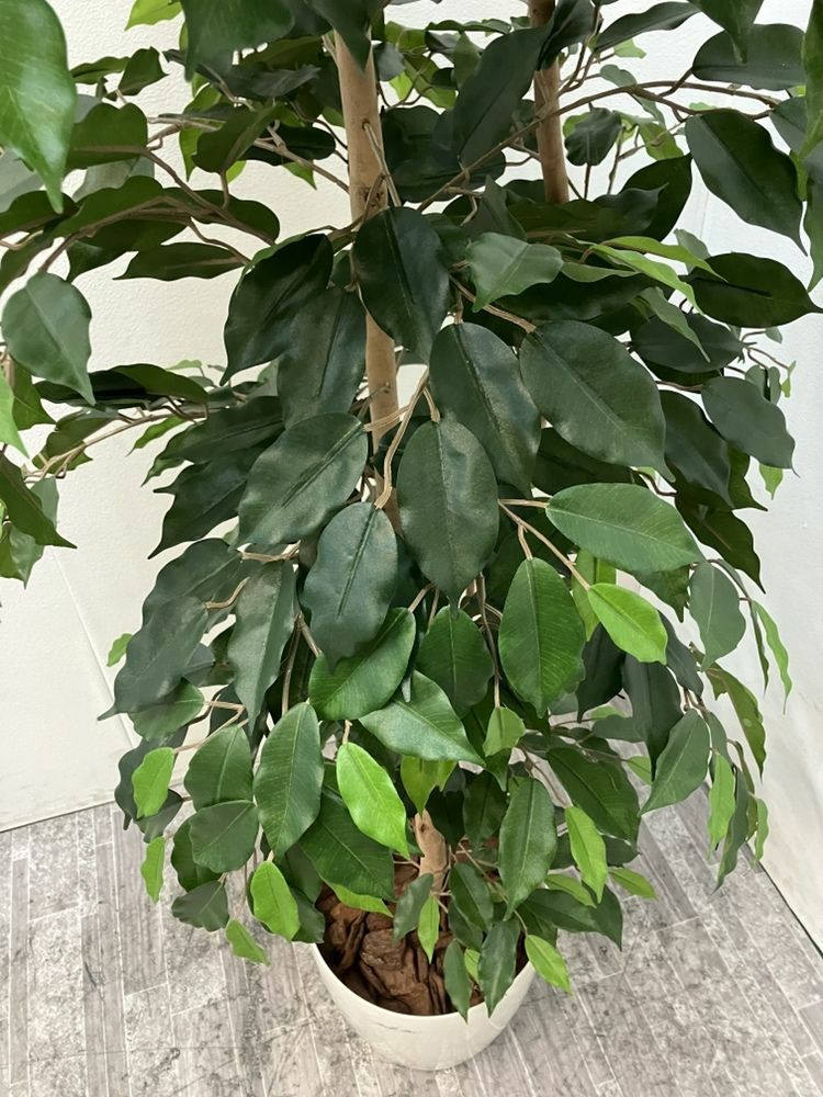 フェイクグリーン 商品画像4