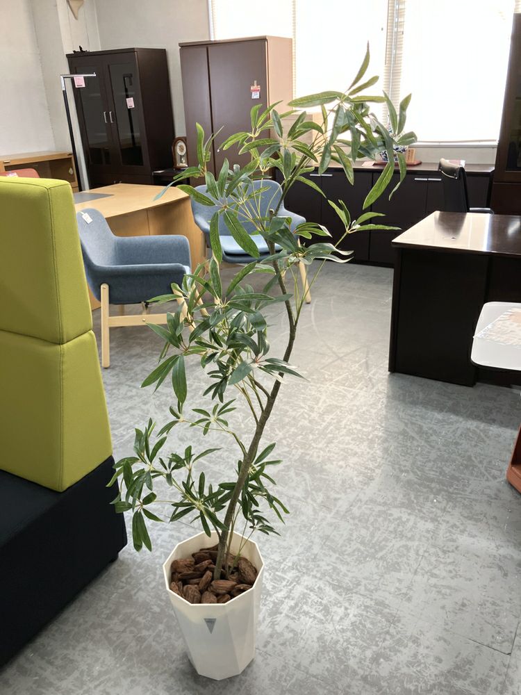 ウチダ（内田洋行）人工植物 商品画像1
