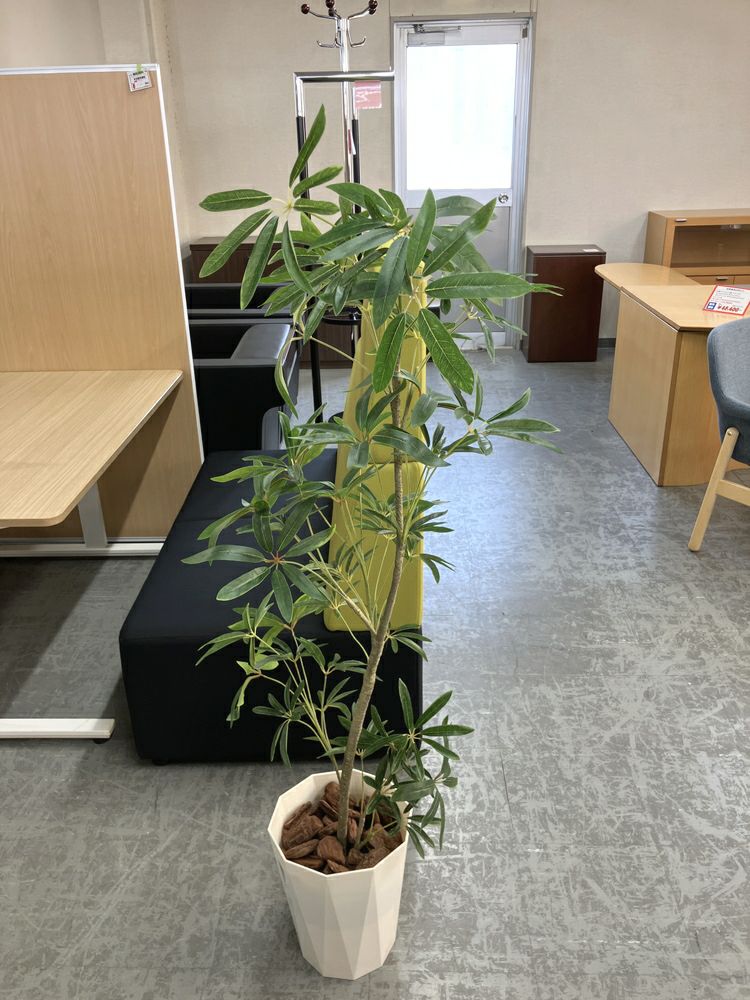 ウチダ（内田洋行）人工植物 商品画像2
