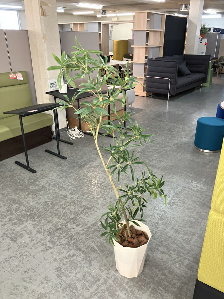 ウチダ（内田洋行）人工植物 商品画像3