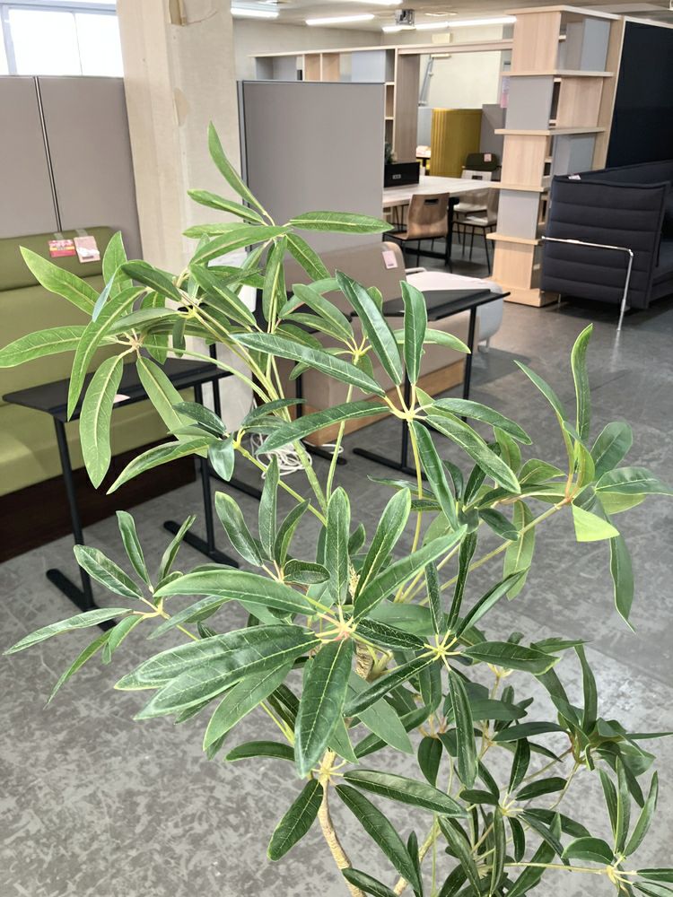 ウチダ（内田洋行）人工植物 商品画像4