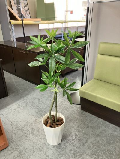 ウチダ（内田洋行）人工植物 商品画像1