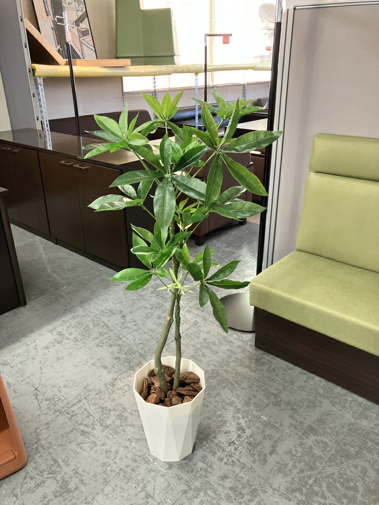 ウチダ（内田洋行）人工植物 商品画像1