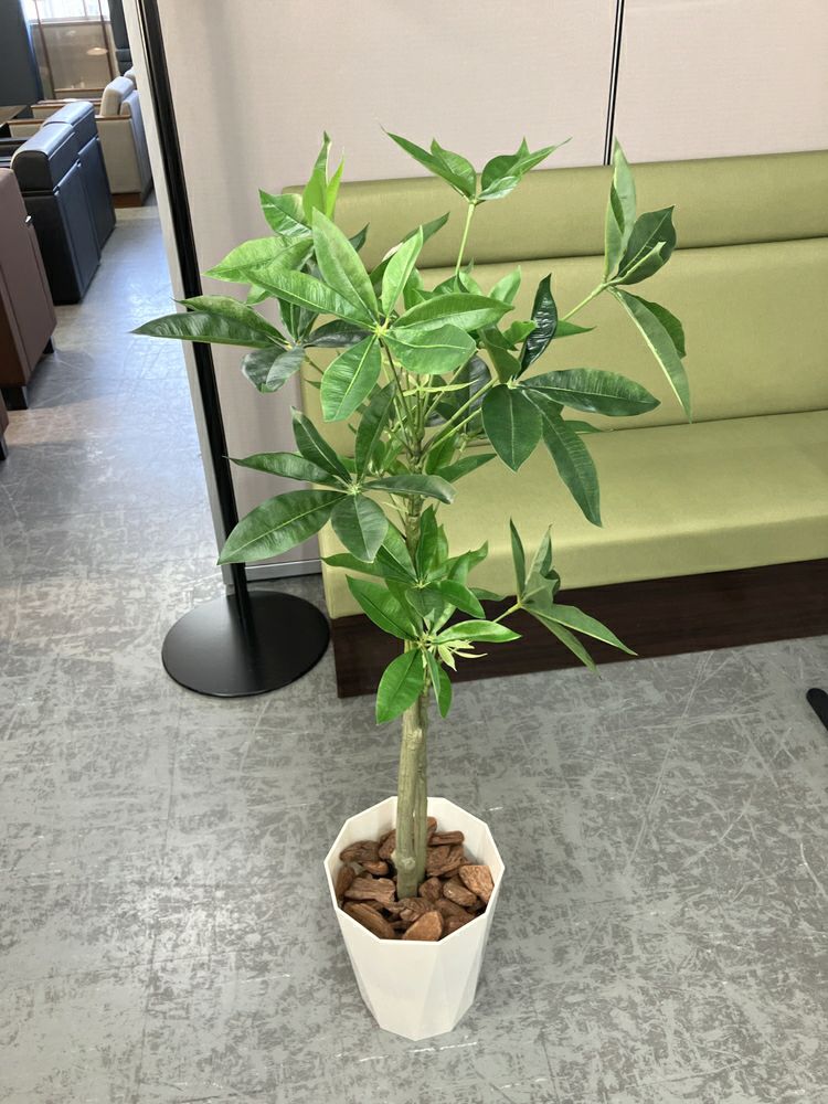 ウチダ（内田洋行）人工植物 商品画像2