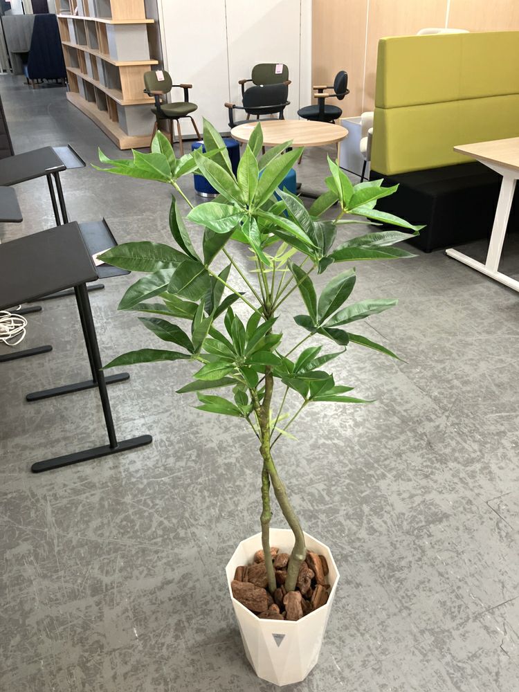 ウチダ（内田洋行）人工植物 商品画像3