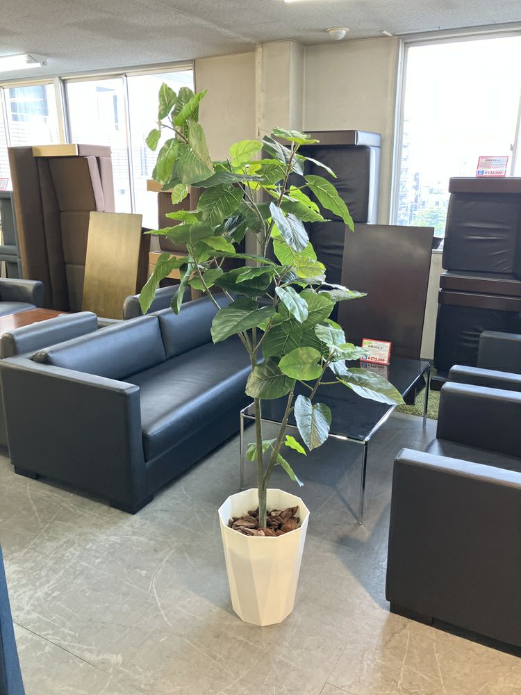 ウチダ（内田洋行）人工植物 商品画像1
