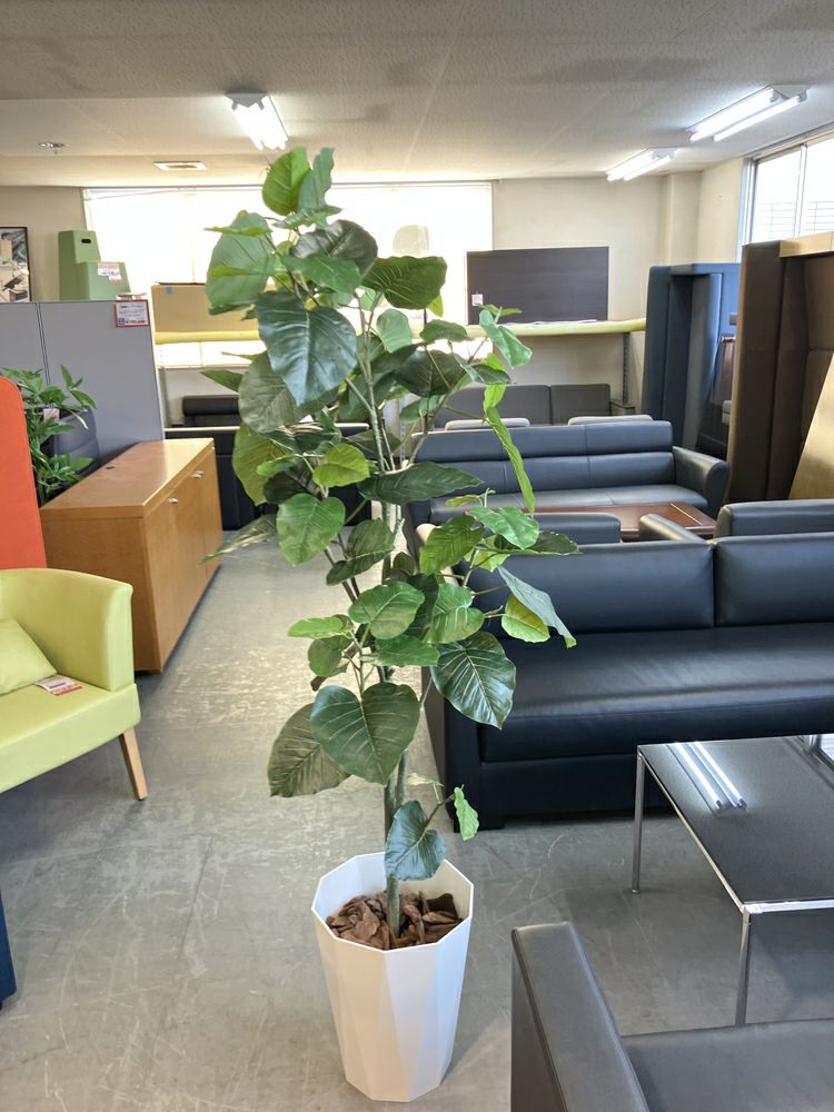 ウチダ（内田洋行）人工植物 商品画像2