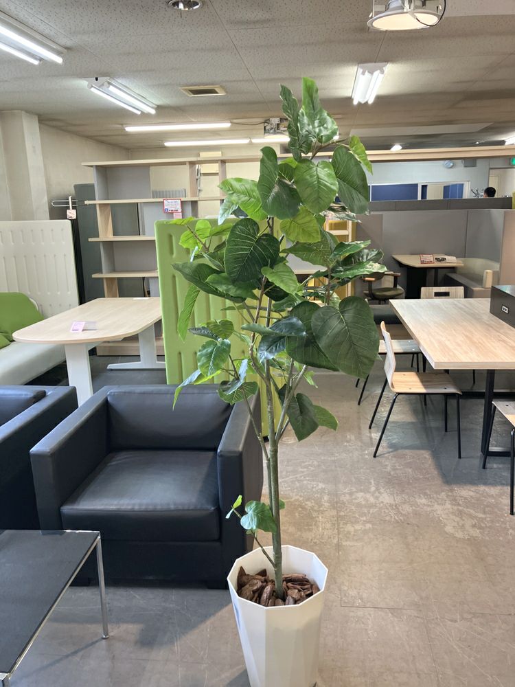 ウチダ（内田洋行）人工植物 商品画像3