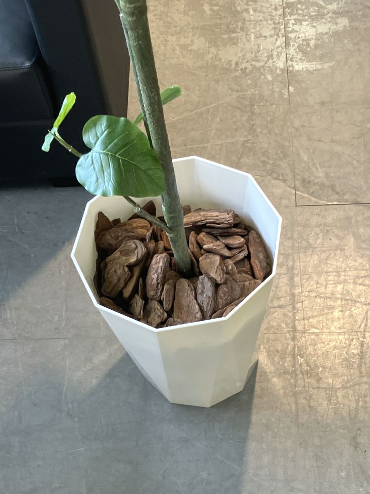 ウチダ（内田洋行）人工植物 商品画像6