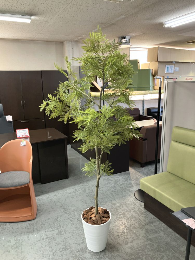 ウチダ（内田洋行）人工植物 商品画像1