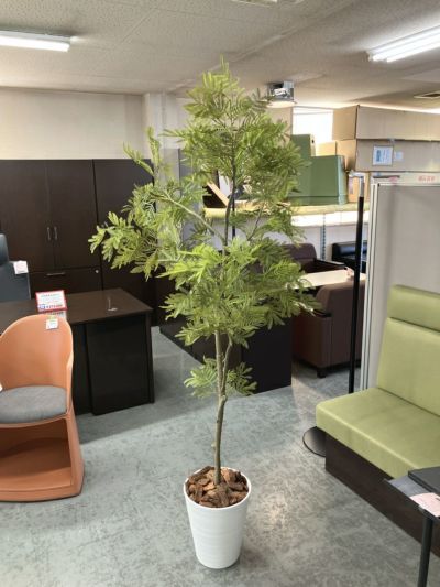 ウチダ（内田洋行）人工植物 商品画像1