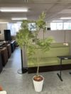 ウチダ（内田洋行）人工植物 商品画像2