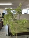 ウチダ（内田洋行）人工植物 商品画像3