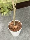 ウチダ（内田洋行）人工植物 商品画像7