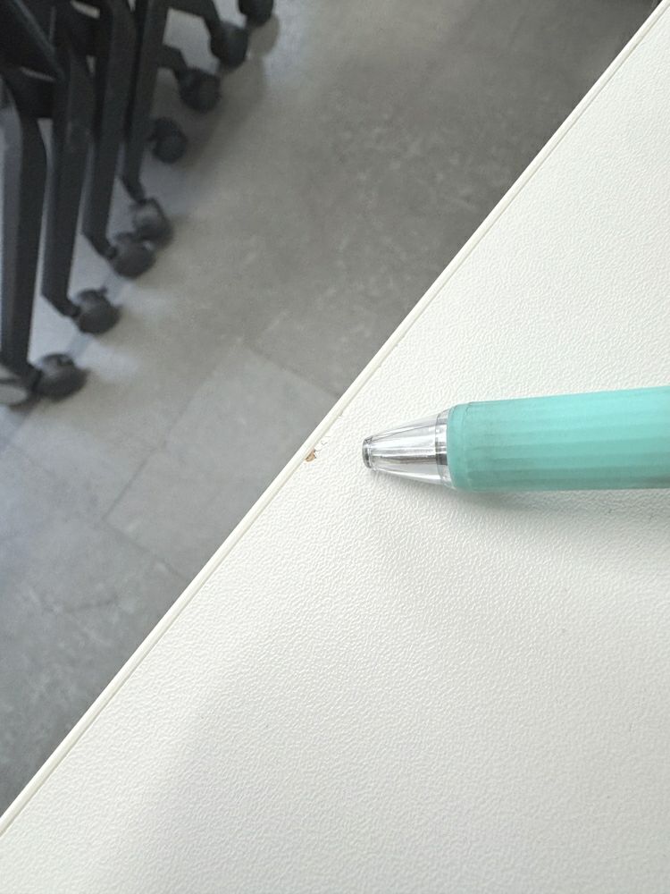 イトーキHXシリーズ 平行スタックテーブル 商品画像13