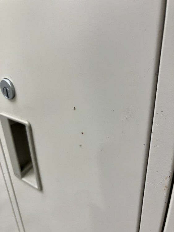 コクヨLKシリーズ　（コクヨ） 8人用ロッカー 商品画像5