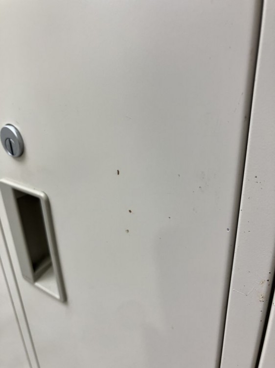 コクヨLKシリーズ　（コクヨ） 8人用ロッカー 商品画像5