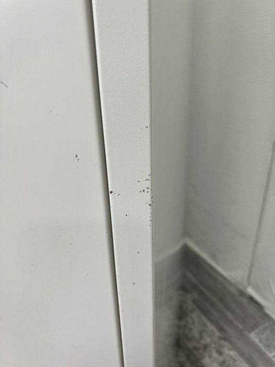 コクヨLKシリーズ　（コクヨ） 8人用ロッカー 商品画像6