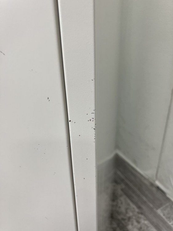 コクヨLKシリーズ　（コクヨ） 8人用ロッカー 商品画像6