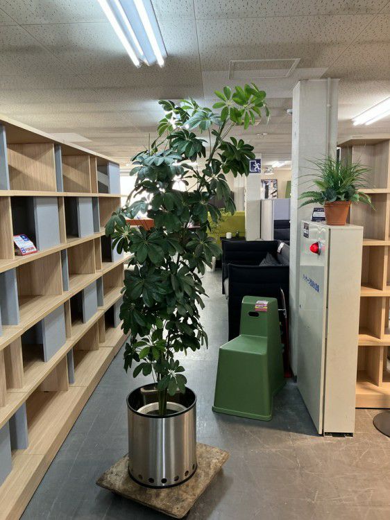 人工植物 商品画像1