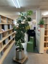 人工植物 商品画像1