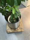 人工植物 商品画像5