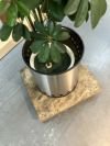 人工植物 商品画像6