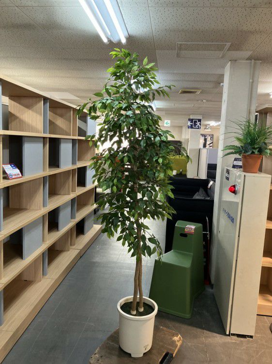 人工植物 商品画像1