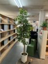 人工植物 商品画像1