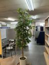 人工植物 商品画像8