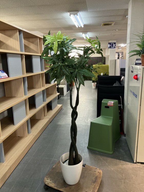 人工植物 商品画像1