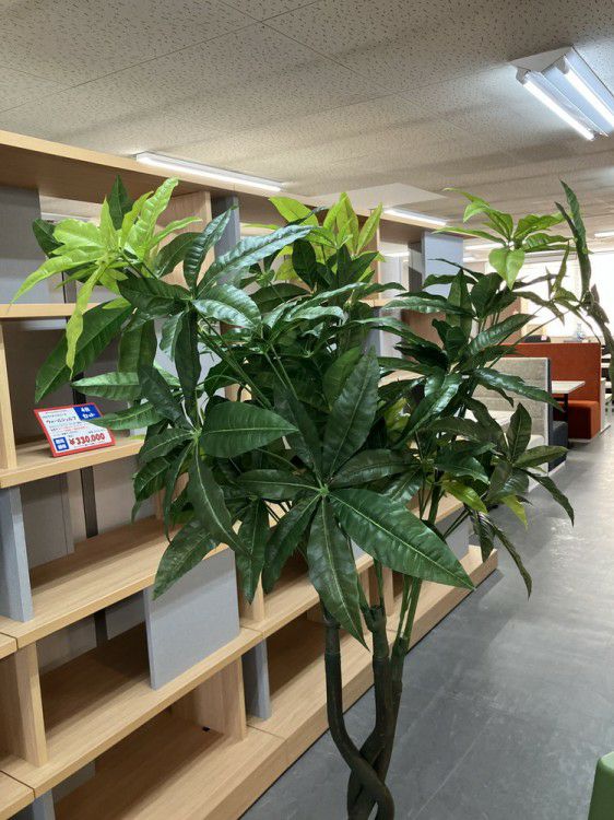 人工植物 商品画像2