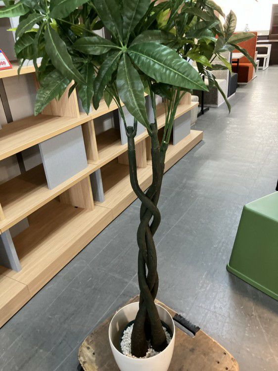 人工植物 商品画像3