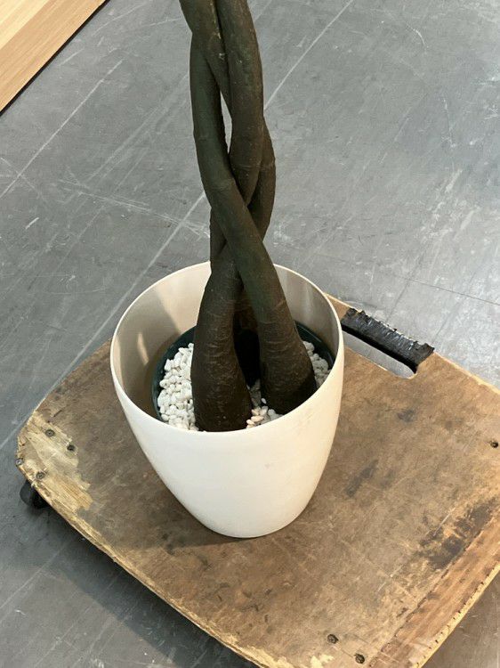 人工植物 商品画像4