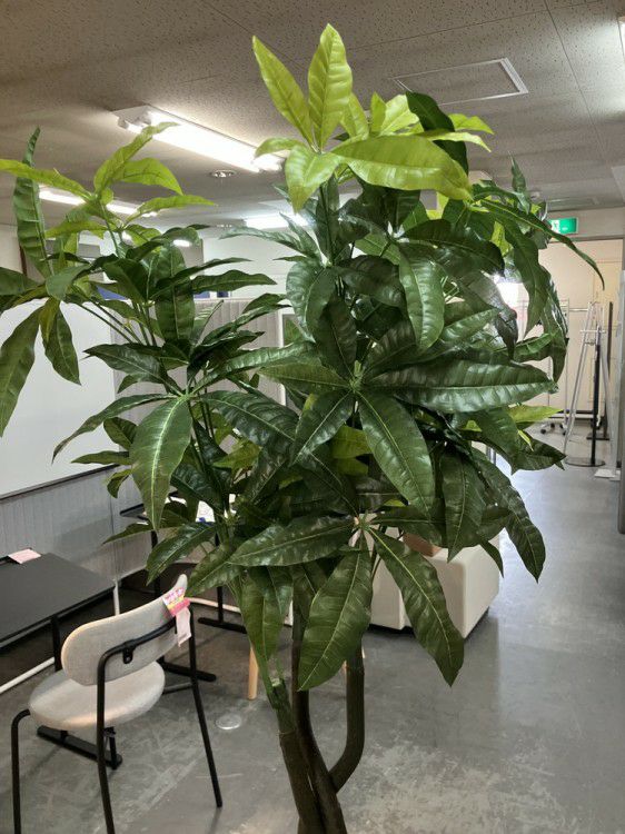 人工植物 商品画像5