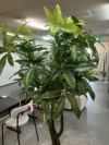 人工植物 商品画像5