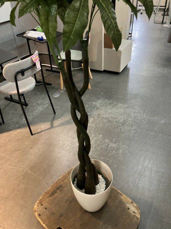 人工植物 商品画像6